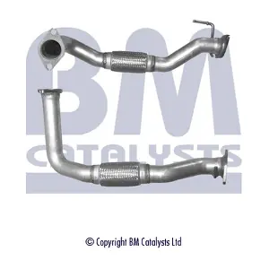 BM CATALYSTS BM50214