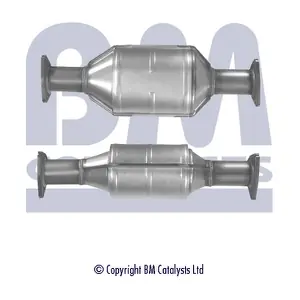 BM CATALYSTS BM90066