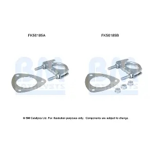 BM CATALYSTS FK50185