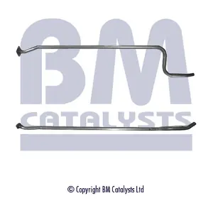BM CATALYSTS BM50123