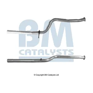 BM50001 BM CATALYSTS
