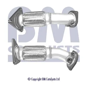 BM CATALYSTS BM50441