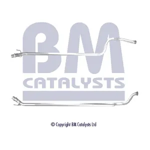 BM CATALYSTS BM50418