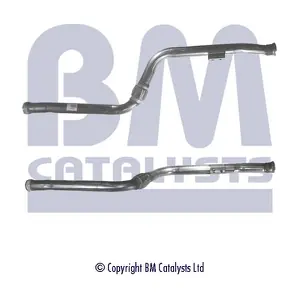 BM50210 BM CATALYSTS