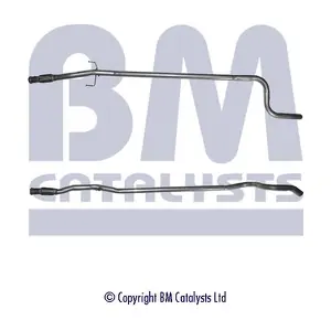 BM CATALYSTS BM50113