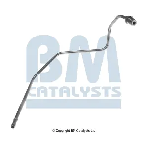 PP11013B BM CATALYSTS