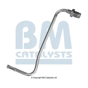 PP11247A BM CATALYSTS