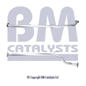 BM CATALYSTS BM50613