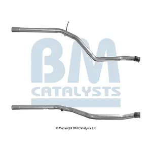 BM CATALYSTS BM50040