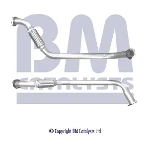 BM CATALYSTS BM70619