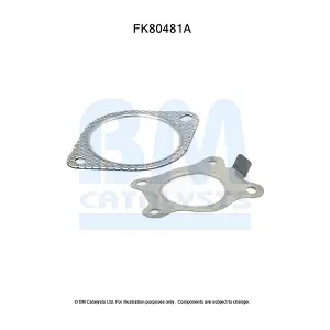 BM CATALYSTS FK80481