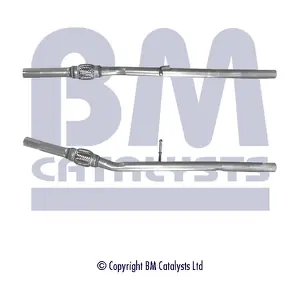 BM CATALYSTS BM50321
