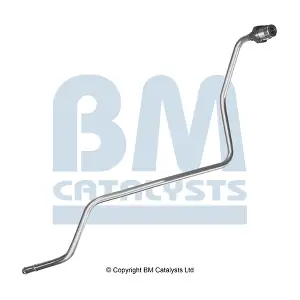 PP11188A BM CATALYSTS