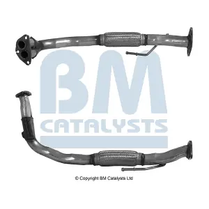 BM70010 BM CATALYSTS