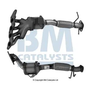 BM CATALYSTS BM91560H
