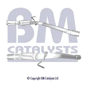 BM CATALYSTS BM50665