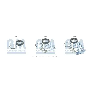 BM CATALYSTS FK50365