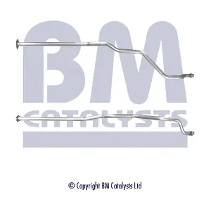 BM50311 BM CATALYSTS