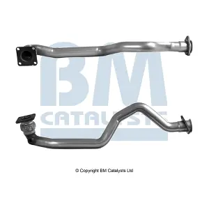 BM70296 BM CATALYSTS