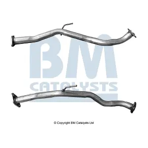 BM50981 BM CATALYSTS