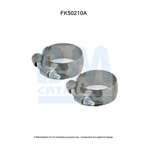 BM CATALYSTS FK50210