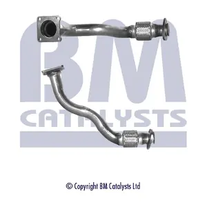 BM CATALYSTS BM70102