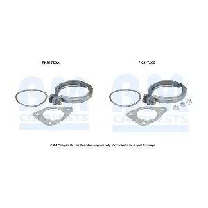 FK91720 BM CATALYSTS