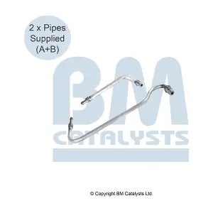 PP11607C BM CATALYSTS