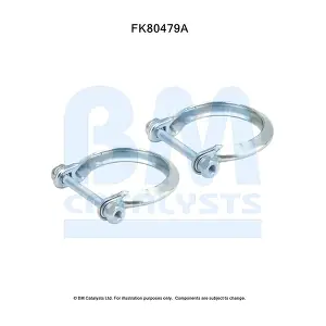 FK80479 BM CATALYSTS