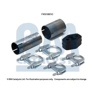 FK51001 BM CATALYSTS