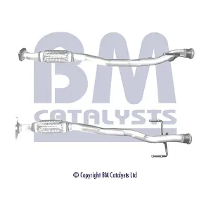 BM50483 BM CATALYSTS