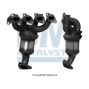 BM CATALYSTS BM91019H