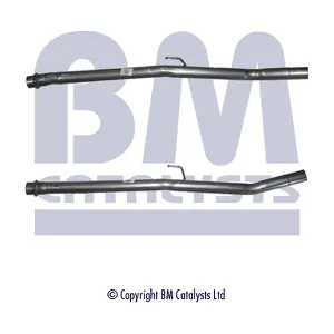 BM CATALYSTS BM50118