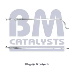 BM CATALYSTS BM50278