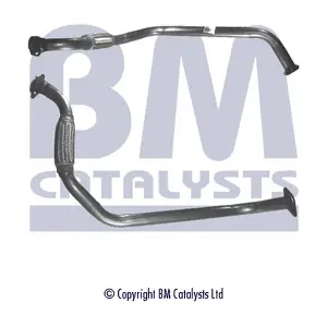 BM CATALYSTS BM70480