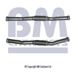 BM CATALYSTS BM50192