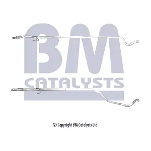 BM50489 BM CATALYSTS