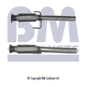 BM CATALYSTS BM50042