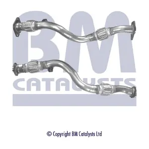 BM50147 BM CATALYSTS
