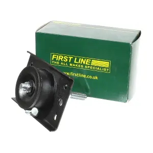 FEM3679 FIRST LINE