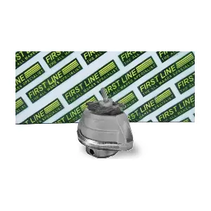 FIRST LINE FEM4316