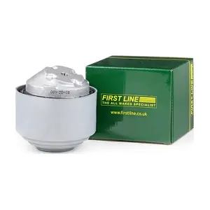 FEM3635 FIRST LINE