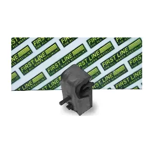 FIRST LINE FEM3002