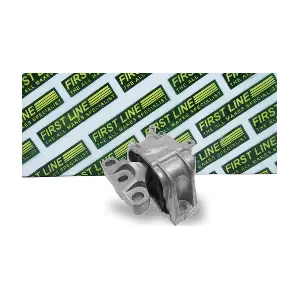 FIRST LINE FEM3827