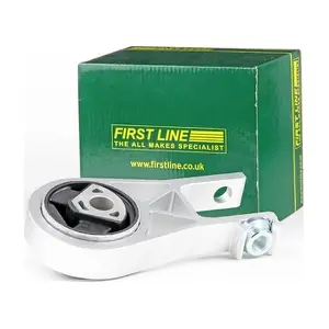 FEM3865 FIRST LINE