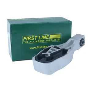 FEM4460 FIRST LINE