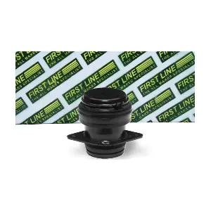 FIRST LINE FEM3108