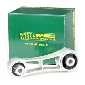 FEM3378 FIRST LINE