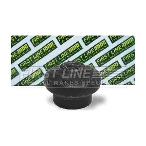 FEM3150 FIRST LINE