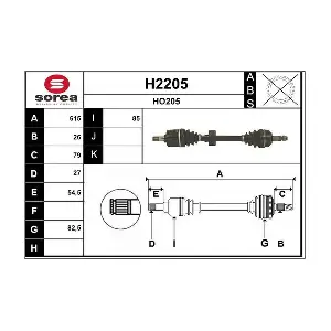H2205 SNRA